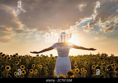 Beautiful young girl enjoying nature on the field of sunflowers. stands back and looks at the sunset, the girl raised her hands in the air, beautiful Stock Photo