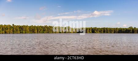 Sandoval Lake, Tambopata National Reserve, Tambopata Province, Amazon Jungle of Peru, South America Stock Photo