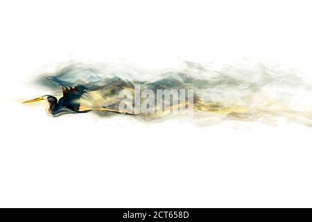 Abstract nature. Flying bird. Dispersion effect. White background. Stock Photo