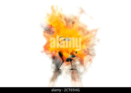 Abstract nature. Flying bird. Dispersion effect. Black background. Stock Photo