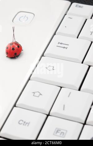 Red ladybird on white notebook with power button and selective focus Stock Photo