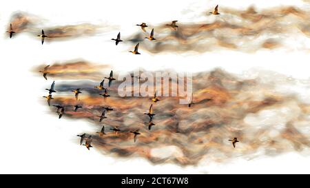 Abstract nature. Flying bird. Dispersion effect. Stock Photo