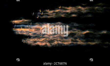 Abstract nature. Flying bird. Dispersion effect. Stock Photo