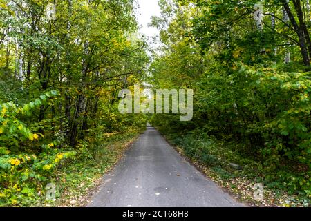 beautiful autumn forest in September, can be used for backgrounds, cards, wallpapers on PC and Smartphone Stock Photo