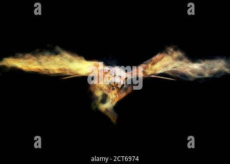 Abstract nature. Flying bird. Dispersion effect. Black background. Stock Photo