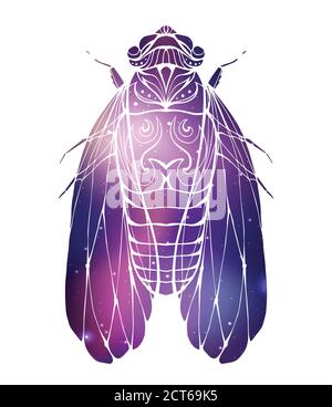 Hand drawn vintage cicada with a boho pattern and cosmic background. Insect with doodle pattern. Vector element for tattoo sketch, printing on T-shirt Stock Vector
