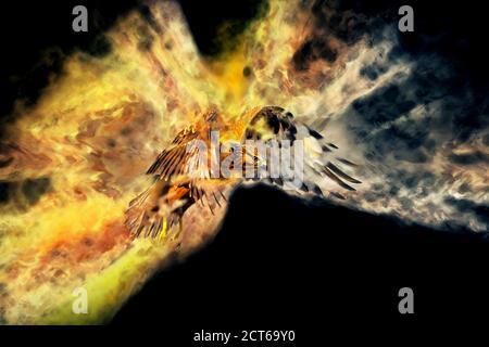 Abstract nature. Flying bird. Dispersion effect. Black background. Stock Photo