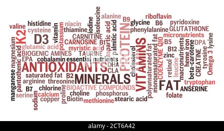 Horizontal red meat complete nutrition information word cloud in meat color scheme with all macronutrients, micronutrients, antioxidants. Stock Photo