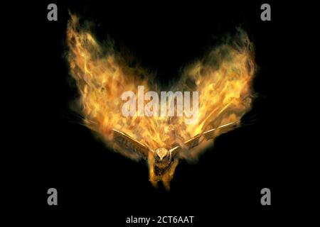Abstract nature. Flying bird. Dispersion effect. Black background. Stock Photo