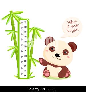 Height chart with cute panda and bamboo. Kids meter with cartoon animal. Inscription - What is your height? Meter wall or baby scale of growth. Vector Stock Vector