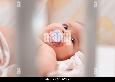 Close up portrait of a baby with a pacifier in his mouth, who is lying in a cradle. View through the bars of the cradle. Stock Photo