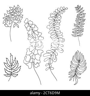 Sketch leaves set. Hand drawn floral black and white elements. Vector illustration. Stock Vector