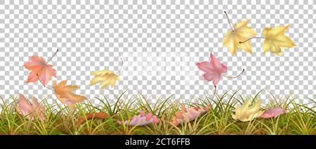 Vector Grass Border Stock Vector