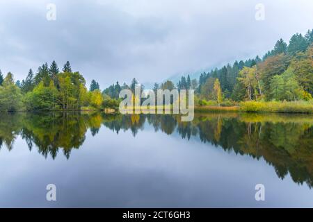 Moorweiher bei Oberstdorf, Oberallgäu, Allgäu, Bayern, Deutschland, Europa Stock Photo