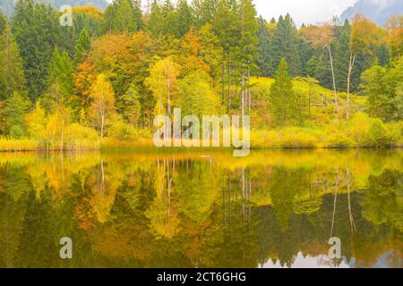 Moorweiher bei Oberstdorf, Oberallgäu, Allgäu, Bayern, Deutschland, Europa Stock Photo