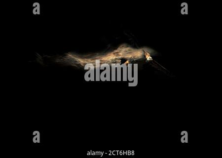 Abstract nature. Flying bird. Dispersion effect. Black background. Stock Photo