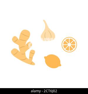 Natural medicine food icons ginger garlic lemon. Stock Vector