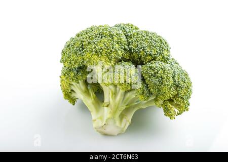 Fresh green broccoli isolated on white background, side view, close up. Stock Photo