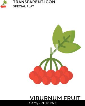 Viburnum fruit vector icon. Flat style illustration. EPS 10 vector. Stock Vector