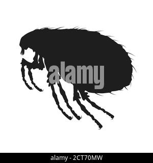 Louse icon. Insect icon isolated. Black silhouette of louse. Vector illustration. Louse icon in flat design Stock Vector