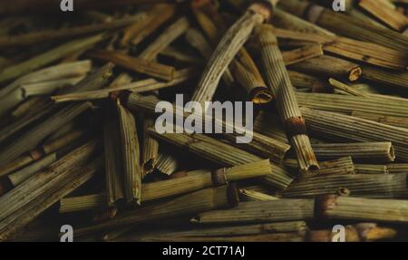 macro close up Equisetum arvense “ horse tail “ dry plant, selective focus, tea Stock Photo