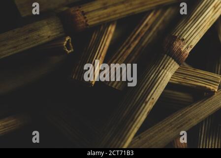 macro close up Equisetum arvense “ horse tail “ dry plant, selective focus, tea Stock Photo