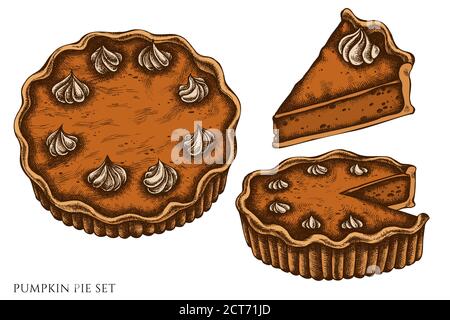 Vector set of hand drawn colored  pumpkin pie stock illustration Stock Vector