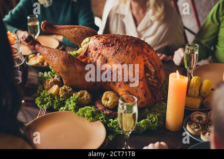 Cropped photo served table thanks giving dinner garnished turkey family generation gathering evening blessing candle fire living room indoors Stock Photo