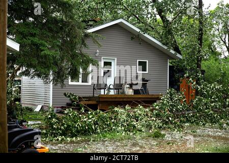Back yard destruction from fallen trees and hail during a summer storm Stock Photo