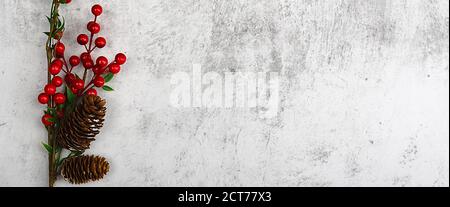On a brown branch with bright red berries, and cones. Against a background of gray plaster. Layout, mockup, place for the inscription and logo. Stock Photo
