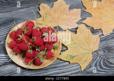 Raspberries with tails lie on a wooden saucer. Nearby are dried maple leaves. On black boards, with an expressive woody texture. Stock Photo