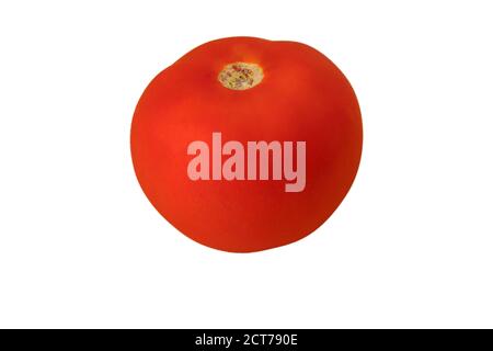 One whole red tomato on a white background in isolation Stock Photo