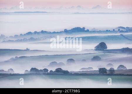 Misty dawn from Pilsdon Pen, Dorset, England, UK Stock Photo