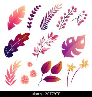 Big Vector set of tropical leaves, isolated illustration Stock Vector