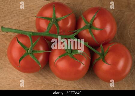 Green branch with five red tomatoes on a wooden board Stock Photo