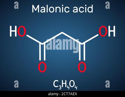 Malonic acid, dicarboxylic, propanedioic acid molecule. The ionized form its ester and salt, are known as malonate. Structural chemical formula on the Stock Vector