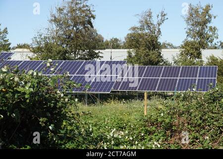 Dutch solar panels in the summer in the nature. September, Netherlands. Stock Photo