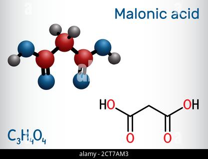 Malonic acid, dicarboxylic, propanedioic acid molecule. The ionized form its ester and salt, are known as malonate. Structural chemical formula and mo Stock Vector