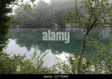 A reflection of green trees on the calm surface of the lake on a misty autumn morning Stock Photo