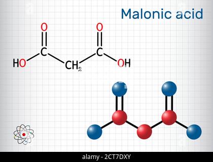 Malonic acid, dicarboxylic, propanedioic acid molecule. The ionized form its ester and salt, are known as malonate. Sheet of paper in a cage. Vector i Stock Vector