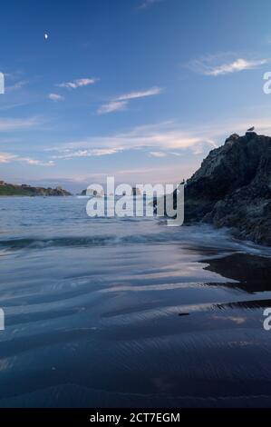 Seagulls sit on rock in ocean during blue evening at moon rise Stock Photo