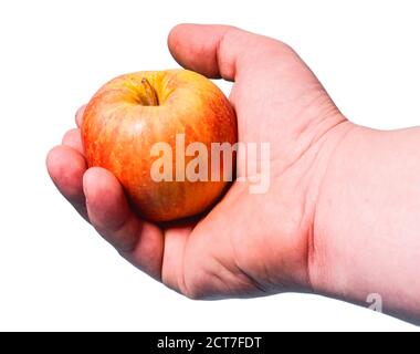 The yellow apple with red spots lies in a hand on a white background Stock Photo