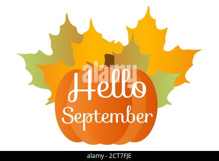 Hello September quote with pumpkin and orange maple leafes isolated illustration Stock Vector