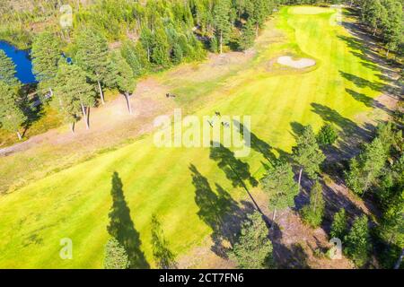 Aerial view down on unidentified people play golf on Golf course, surrounded by pine tree forest in Scandinavia. Warm Sunny calm day excellent for gol
