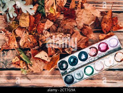 An art palette with empty multicolored paints in close-up on a wooden table, and next to it yellow and orange autumn leaves fallen from trees. Empty a Stock Photo