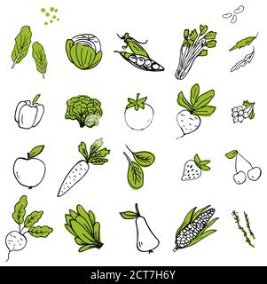 Set of hand drawn vegetable and fruit icons Stock Vector