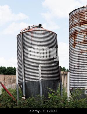 A small metal silo leans like the Tower of Pizza in opposition to a taller silo standing strait next to it on a working farm. The metal of both silos Stock Photo