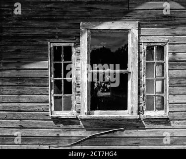 Three windows on the side of an abandoned shack so weathered all of the external paint has faded away. Stock Photo