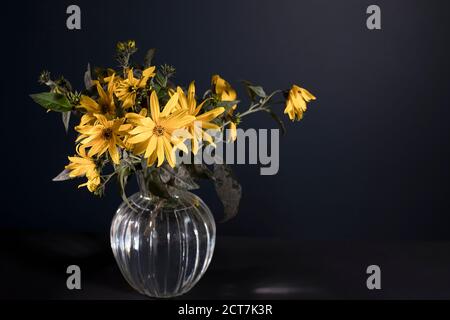 A bouquet of yellow jerusalem artichoke in a transparent vase on against black background on the table Stock Photo