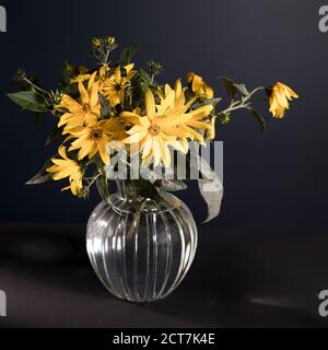 A bouquet of yellow jerusalem artichoke in a transparent vase on against black background on the table Stock Photo